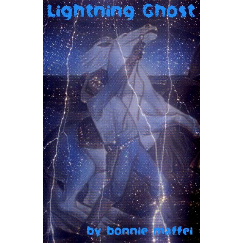 Lightning Ghost - The Film Co-Operative
